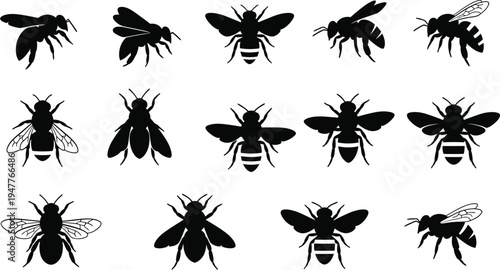 Bee insect silhouette collection with honeybee pollinators flying in different poses, detailed wings wildlife nature vector illustration set