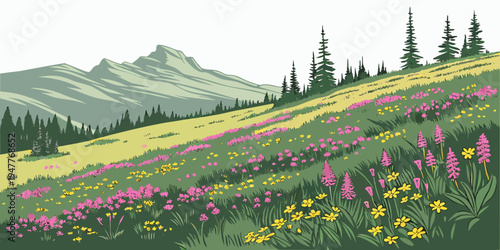 A field of pink and yellow flowers on a hillside Vector