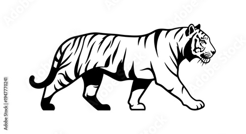 Majestic Bengal tiger illustration, gracefully walking with powerful stride, depicting strength and wild beauty in a striking black and white vector design