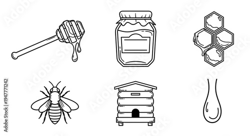 Bee honeycomb and honey illustrations 2.