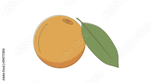 Fresh orange with green leaf attached.