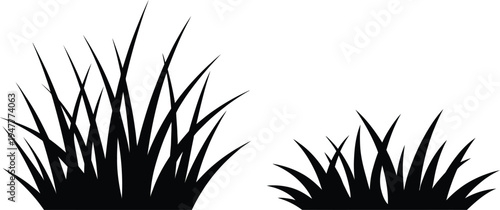 Vector grass silhouette illustration black grasses on white background