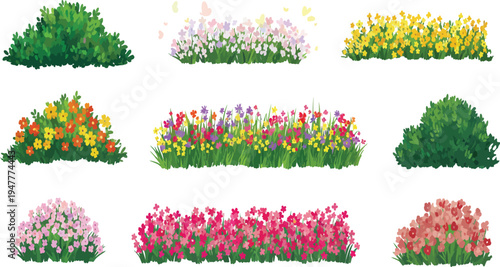 Garden bush and colorful flower border vector set spring landscape plants hedge floral bushes nature decoration illustration