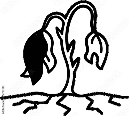 Wilted plant with drooping leaves and visible roots