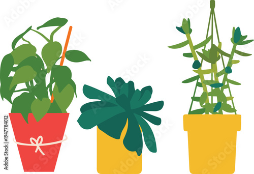 Modern houseplant collection vector illustration with colorful flower pots, indoor tropical plants and hanging vine plant, minimalist flat design for home decor and gardening theme