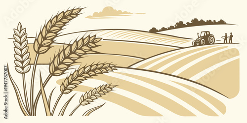 A field of wheat with a farmhouse in the distance Vector