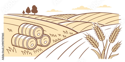 A field with hay bales and wheat Vector