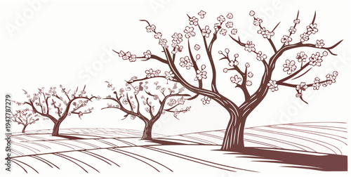 Three trees with bare branches on a field Vector