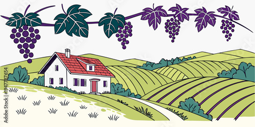 A house on a hill surrounded by a vineyard Vector