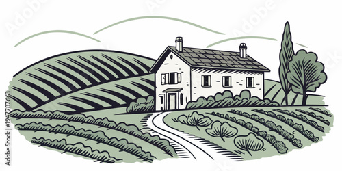 A white house on a hill surrounded by vineyards Vector