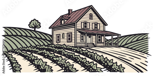 A house on a hill surrounded by rows of plants Vector