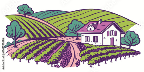 A house on a hill surrounded by vineyards Vector