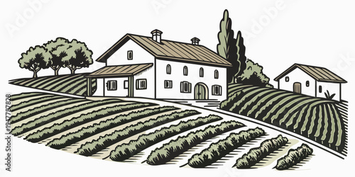A large white house with a vineyard in the countryside Vector