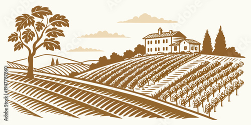 A large house on a hill with a vineyard Vector