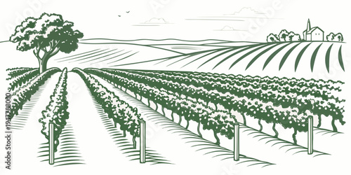 A green illustration of a vineyard with rows of grapevines and a tree Vector