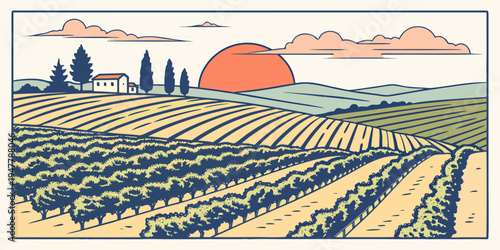 A blurry image of a vineyard at sunset Vector