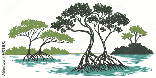 Mangrove trees growing in shallow water Vector