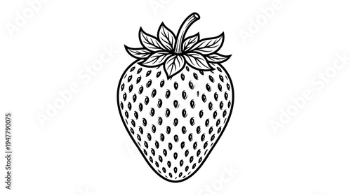 Fresh Strawberry Fruit Closeup Illustration.