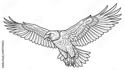 Eagle in flight with wings spread.