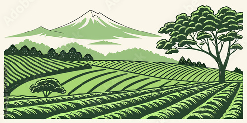 A green tea plantation with a tree and mountains Vector