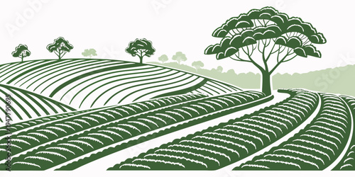 A green illustration of a tree in a vineyard Vector