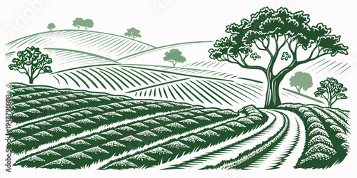 A green illustration of a tree in a vineyard Vector