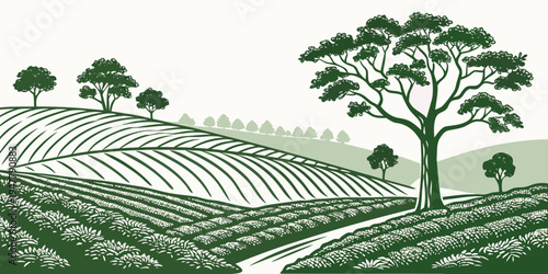 A green illustration of a vineyard with trees Vector