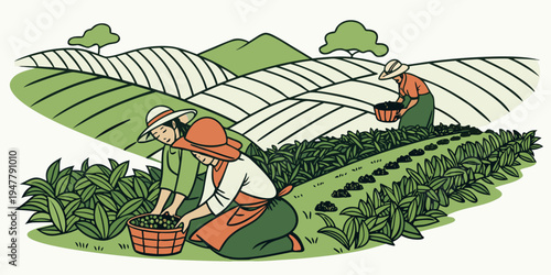 Tea pickers working in a plantation Vector
