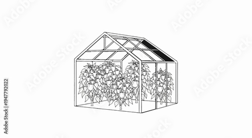 Outline drawing of a greenhouse filled with pepper plants bearing fruit