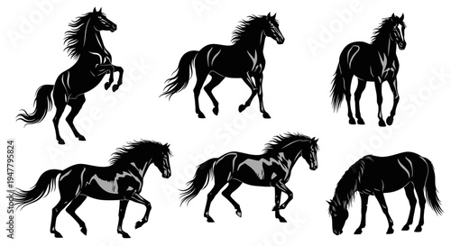 Set of Black Horse Silhouettes in Various Poses, Dynamic and Elegant Equine Illustrations