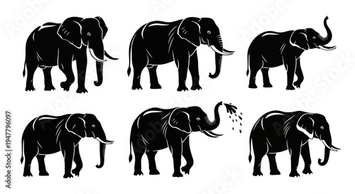 Set of Black Elephant Silhouettes on White Background, Various Poses