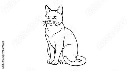 Sitting Cat Feline Pet Portrait.