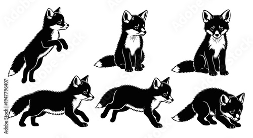 Set of Black Foxes in Various Poses - Vector Illustration