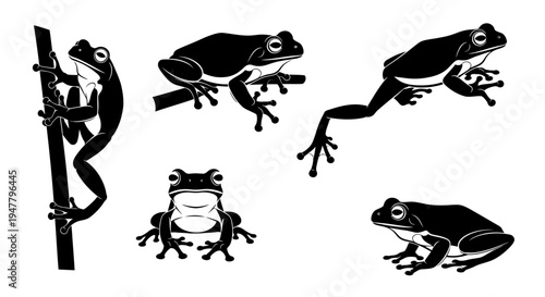 Set of Black Frog Silhouettes in Various Poses on White Background