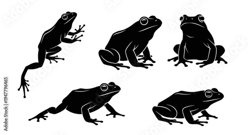 Set of Black Frog Silhouettes on White Background, Various Poses