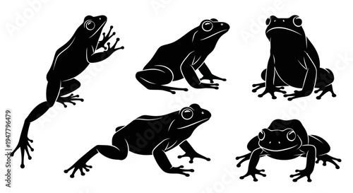 Set of Black Frog Silhouettes on White Background