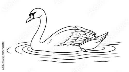 Swan floating on water calmly.