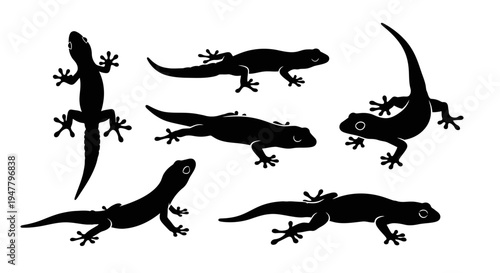 Set of Black Gecko Silhouettes on White Background, Various Poses