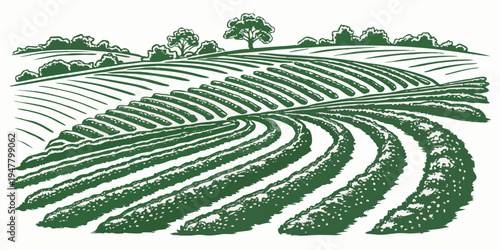 A green field with rows of crops and trees in the background Vector