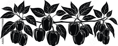 Bell Pepper Plant Illustration Icon Set with Multiple Fruits and Branches for Agriculture, Farming, and Gardening Designs