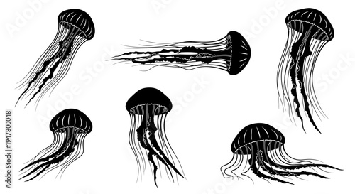 Set of Black Jellyfish Illustrations, Hand-Drawn Style, Isolated on White Background