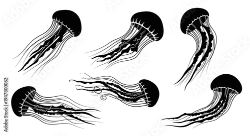 Set of Black Jellyfish Silhouettes with Flowing Tentacles on White Background