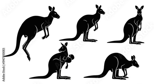 Set of Black Kangaroo Silhouettes in Various Poses on White Background