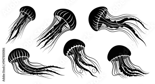 Set of black jellyfish silhouettes on a white background, hand-drawn style
