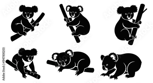 Set of Black Koala Silhouettes on White Background, Various Poses