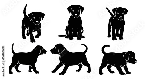 Set of Black Labrador Puppy Silhouettes in Various Poses