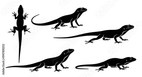Set of Black Lizard Silhouettes in Various Poses on White Background