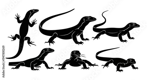Set of Black Lizard Silhouettes on White Background, Various Poses
