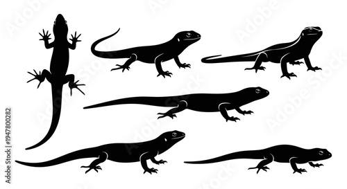 Set of Black Lizard Silhouettes in Various Poses, Vector Illustration