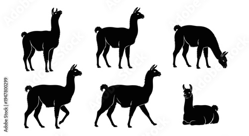 Set of Black Llama Silhouettes in Various Poses on White Background